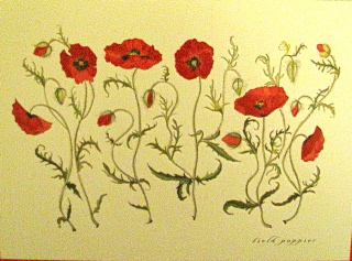 Field Poppies Mothers Day and Blank card [botanical collection]