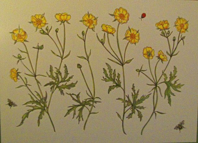 Botanical embossed Buttercups thankyou