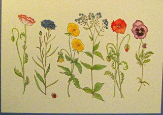 Botanical embossed.....wildflowers Happy birthday